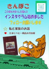 画像: ☆この場をお借りした個人の　インスタグラム始めました（きんぽこ）フォローお願いします
